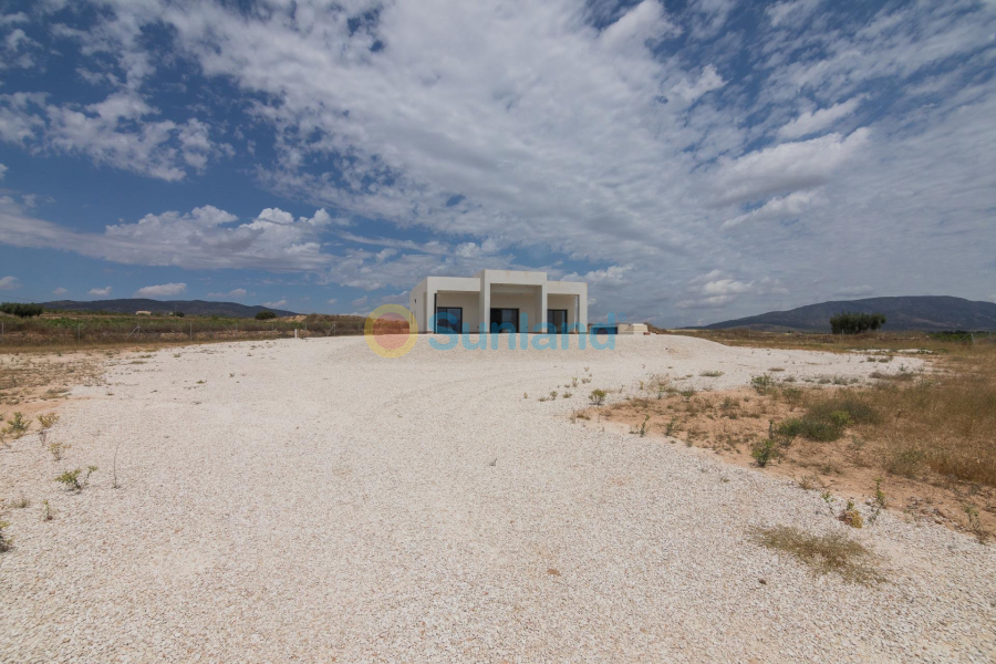 Nueva construcción  - Chalet - Pinoso - Campo