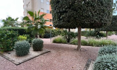 Вторичка - Apartment - Flat - Guardamar del Segura - Puerto Deportivo