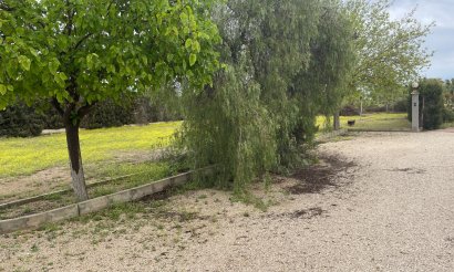 Verkauf - Haus - Elche - 