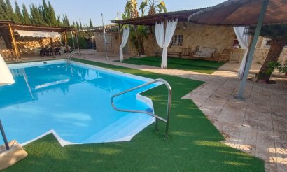 Verkauf - Haus - Elche - 