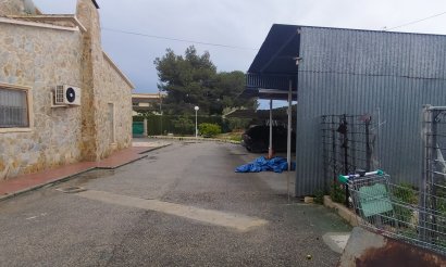 Verkauf - Haus - Elche - 