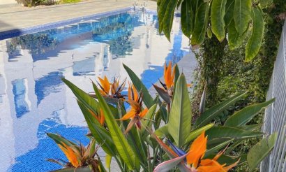 Segunda mano - Bungalow - Torrevieia - Los Naufragos