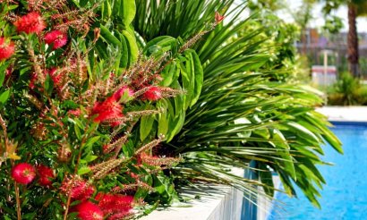 Segunda mano - Bungalow - Torrevieia - Los Naufragos