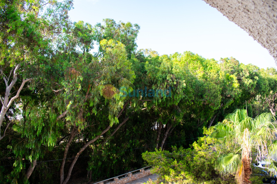 Brukte eiendommer - Leilighet - Orihuela Costa - Playa Flamenca Norte