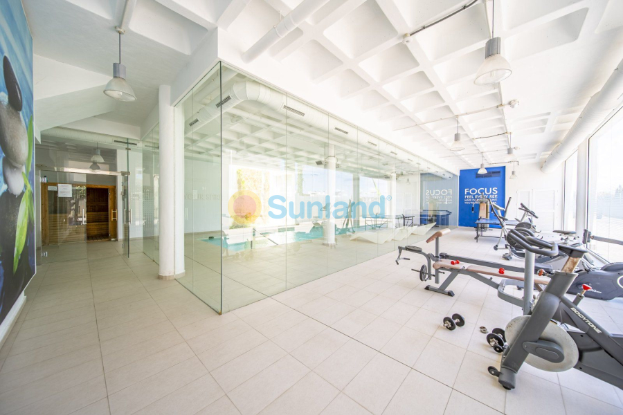 Segunda mano - Apartamento - Guardamar del Segura