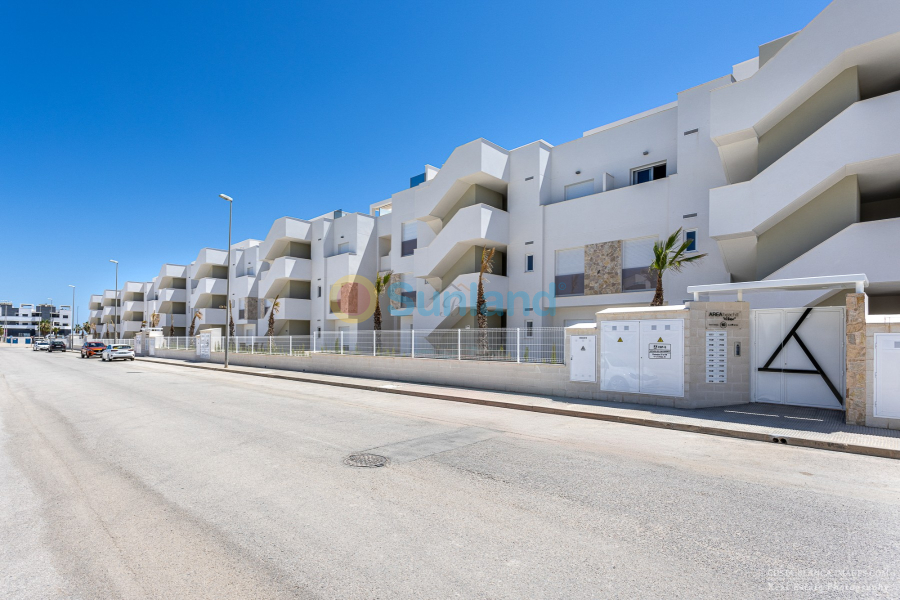 Använda fastigheter - Apartment / flat - Guardamar del Segura - El Raso