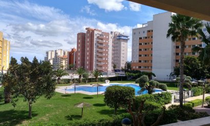 Resale - Apartment - Flat - Guardamar del Segura - Avenida del Puerto