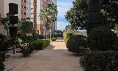 Resale - Apartment - Flat - Guardamar del Segura - Avenida del Puerto