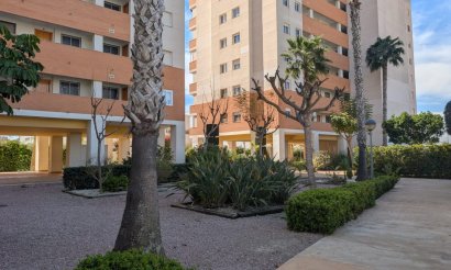Resale - Apartment - Flat - Guardamar del Segura - Avenida del Puerto