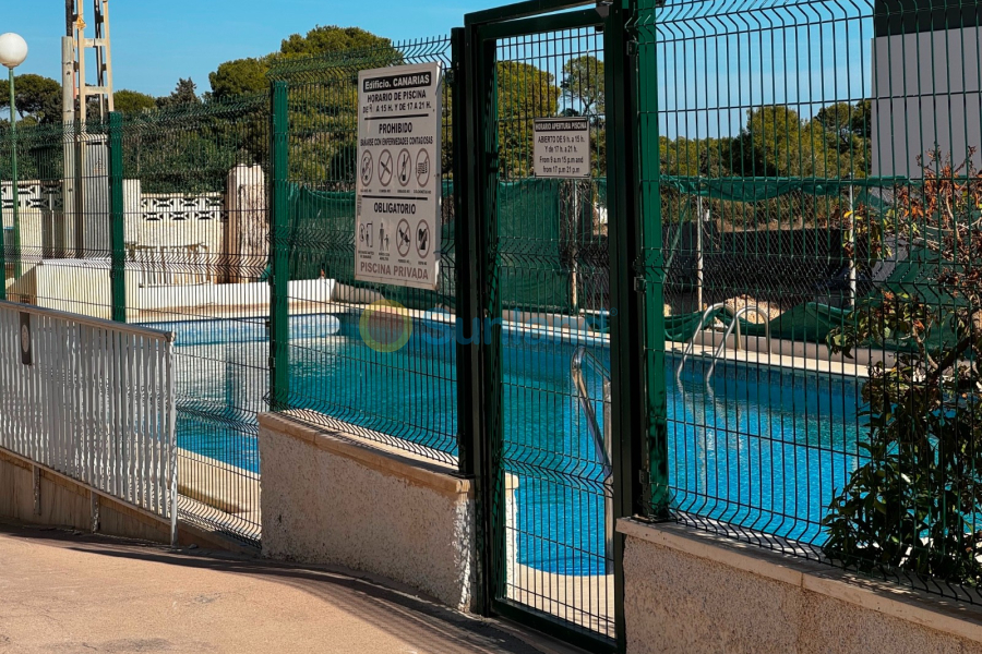 Resale - Apartment - Punta Prima - 