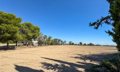 Segunda mano - Chalet - Crevillente - Alicante