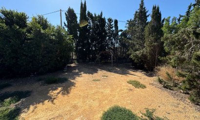 Segunda mano - Chalet - Crevillente - Alicante