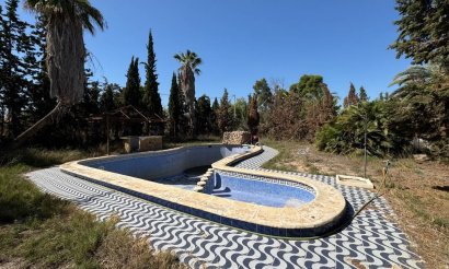 Segunda mano - Chalet - Crevillente - Alicante