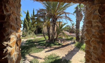 Segunda mano - Chalet - Crevillente - Alicante