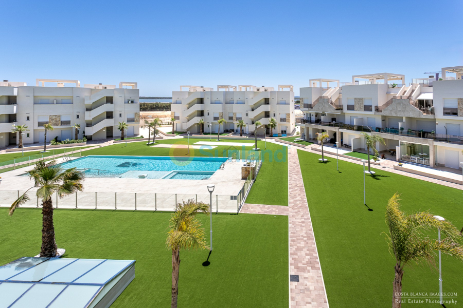 Använda fastigheter - Apartment / flat - Guardamar del Segura - El Raso