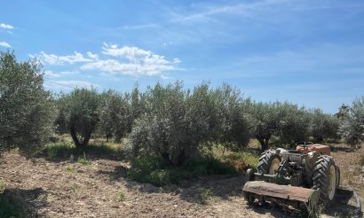 Verkauf - Haus - Crevillente