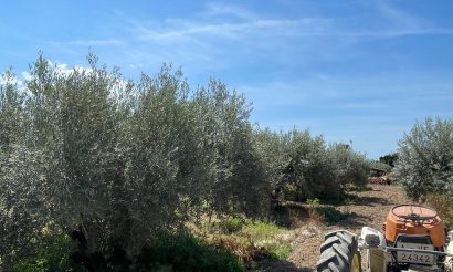 Verkauf - Haus - Crevillente