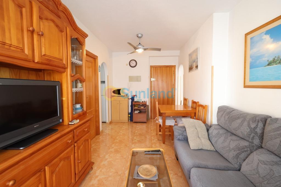 Segunda mano - Apartamento - Torrevieja - Acequion