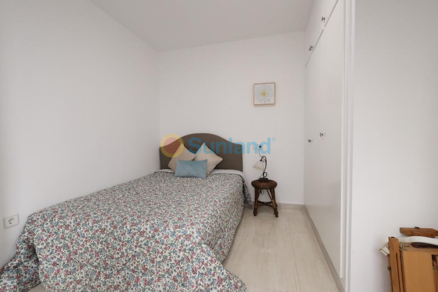 Segunda mano - Apartamento - Torrevieja