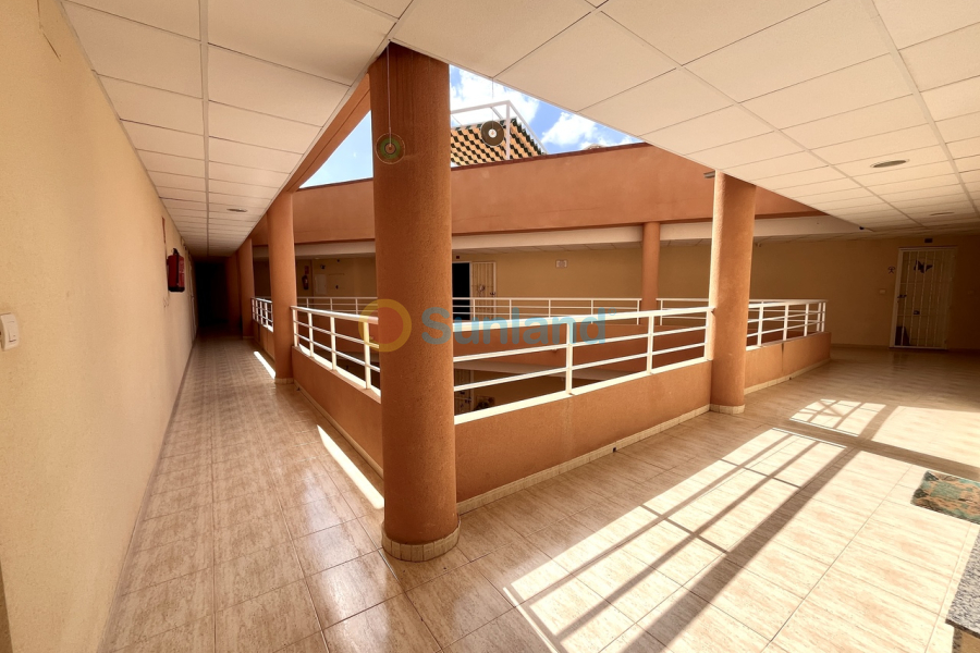 Segunda mano - A - San Miguel De Salinas