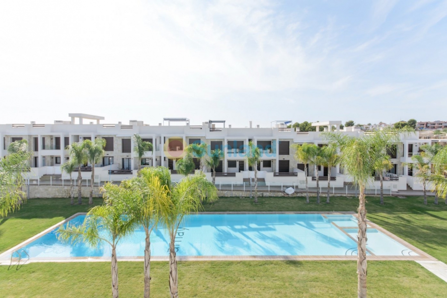 Neubau - Bungalow - Torrevieja - Los Balcones