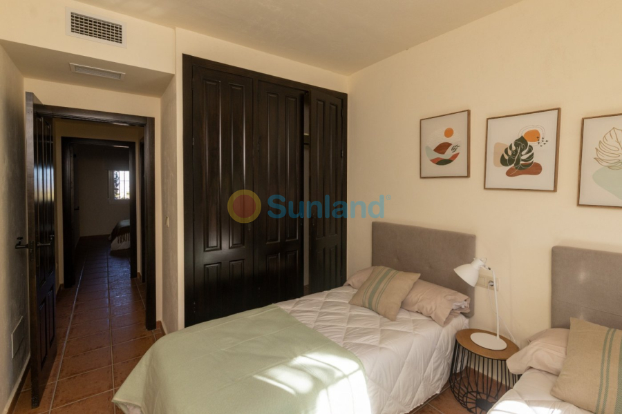 Ny bygg - Semidetached - Fuente Alamo - Las Palas