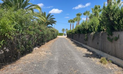 Resale - Finca / Country Property - Benejuzar - Comunidad Valenciana