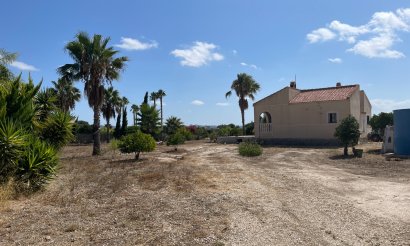Resale - Finca / Country Property - Benejuzar - Comunidad Valenciana
