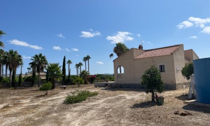 Resale - Finca / Country Property - Benejuzar - Comunidad Valenciana