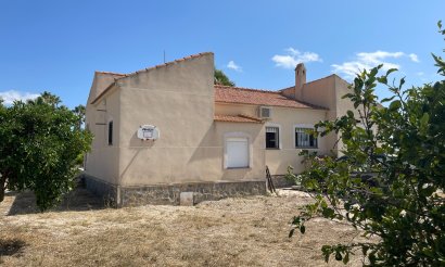 Resale - Finca / Country Property - Benejuzar - Comunidad Valenciana