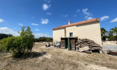Resale - Finca / Country Property - Benejuzar - Comunidad Valenciana