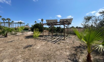 Resale - Finca / Country Property - Benejuzar - Comunidad Valenciana