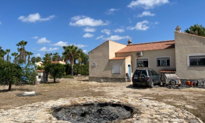 Resale - Finca / Country Property - Benejuzar - Comunidad Valenciana