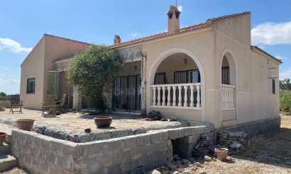 Resale - Finca / Country Property - Benejuzar - Comunidad Valenciana