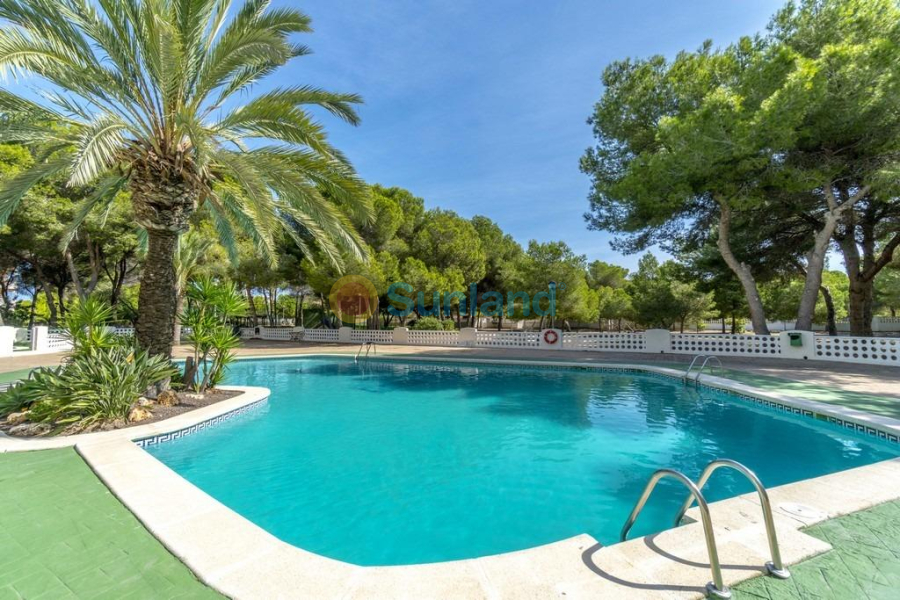 Resale - Apartment - Orihuela Costa - Altos de Campoamor