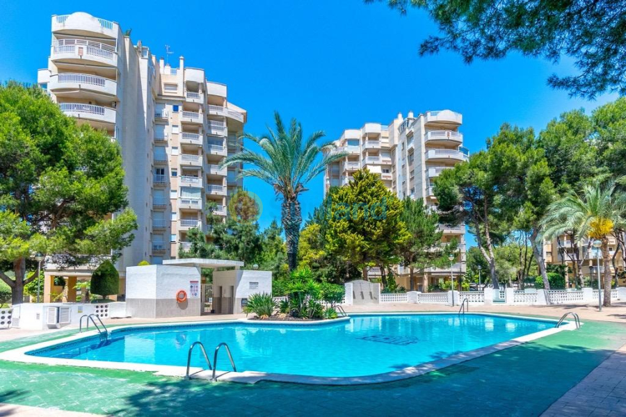 Brukte eiendommer - Leilighet - Orihuela Costa - Altos de Campoamor