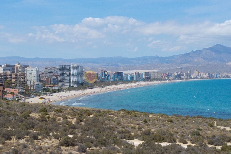 Ny bygg - Leilighet - San Juan Alicante - Fran espinos