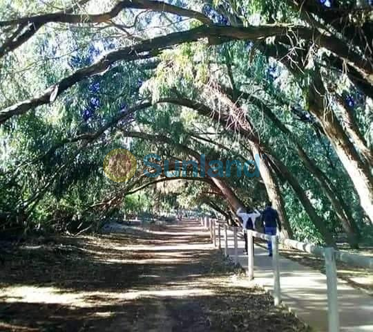 Ny bygg - Top Floor Bungalow - Torrevieja - Altos del Sol