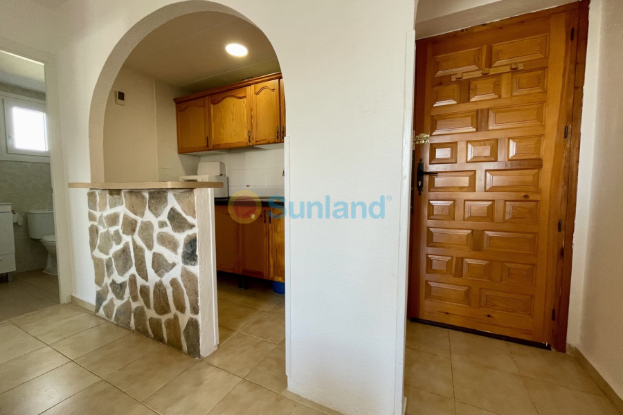 Вторичка - Apartments - Torrevieja - Los Balcones
