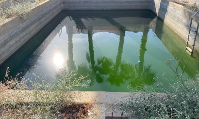 Verkauf - Haus - Crevillente