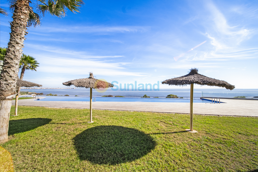 Använda fastigheter - Apartamento - Torrevieja - Punta Prima
