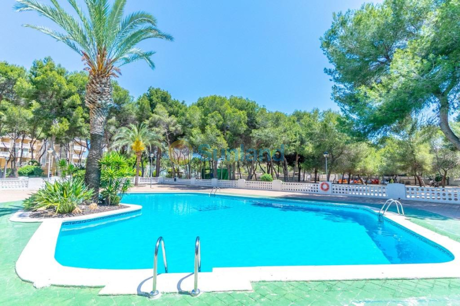 Brukte eiendommer - Leilighet - Orihuela Costa - Altos de Campoamor