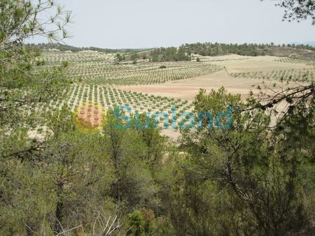 Resale - P - Murcia - 