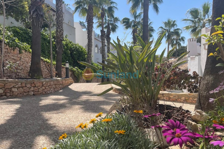 Resale - Villa - Orihuela Costa - Los Dolses
