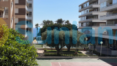 Segunda mano - Apartamento - Torrevieja - La Veleta