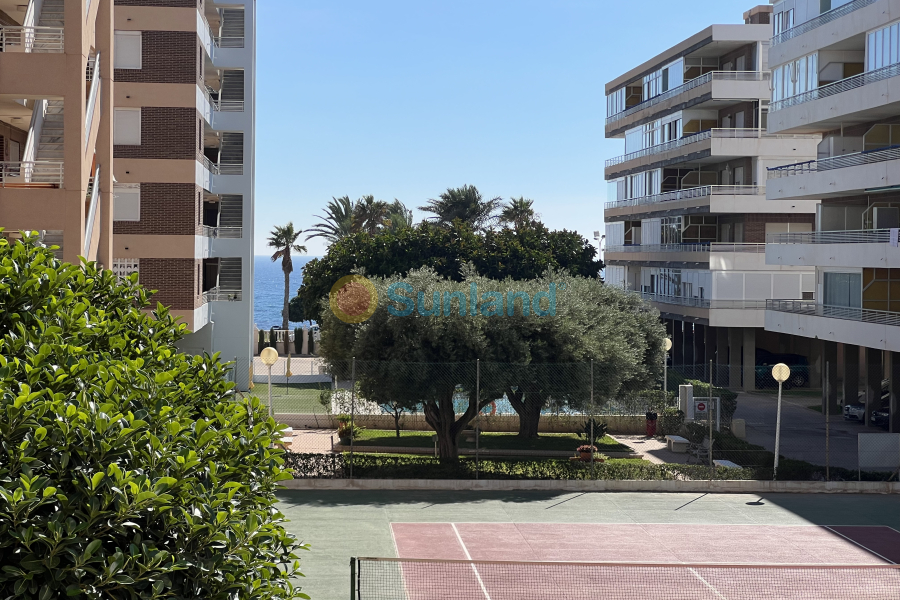 Segunda mano - Apartamento - Torrevieja - La Veleta