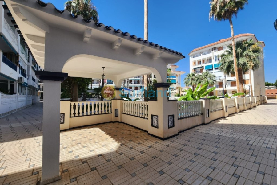 Resale - Apartment - La Mata - 