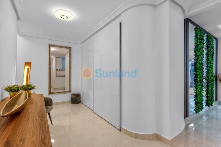 Använda fastigheter - Lägenhet - Torrevieja - Playa del Cura