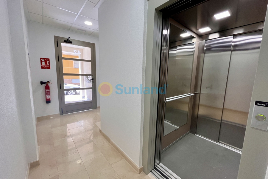 Segunda mano - P - Torre De La Horadada