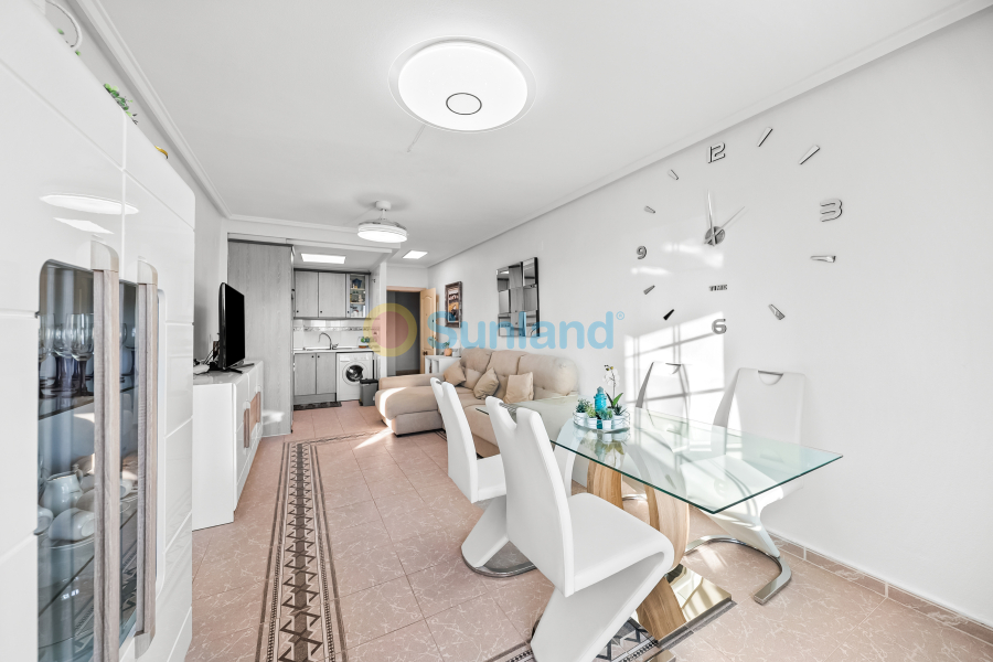 Brukte eiendommer - Apartamento - Torrevieja - La Mata